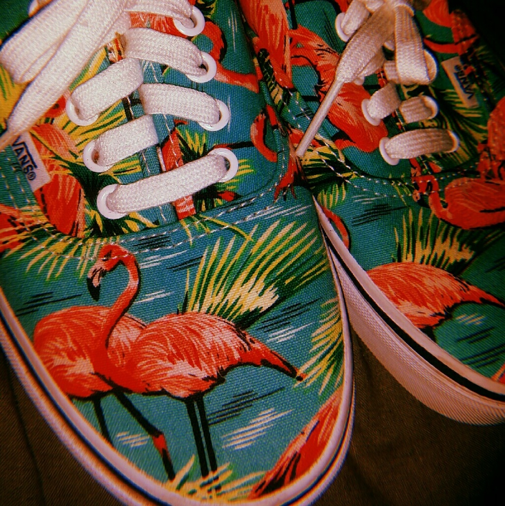 Flamingo Print Van Doren Sneakers